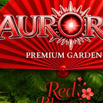 Aurora et Red Blossom Edition