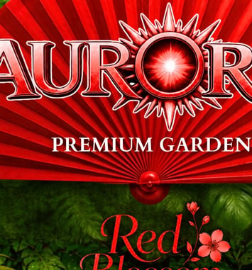 Aurora et Red Blossom Edition
