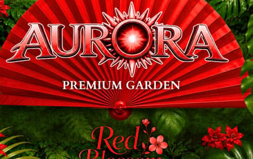 Aurora et Red Blossom Edition