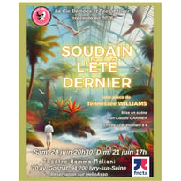 Soudain l'été dernier de Tennessee Williams - Cie Démons et fées d'hiver