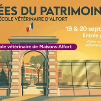 Visite guidée du campus