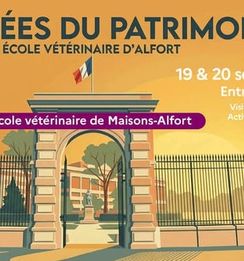 Visite guidée du campus