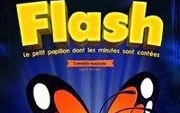 Flash