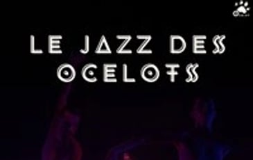 Le Jazz des Ocelots
