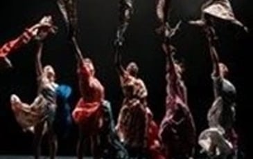 Maldonne