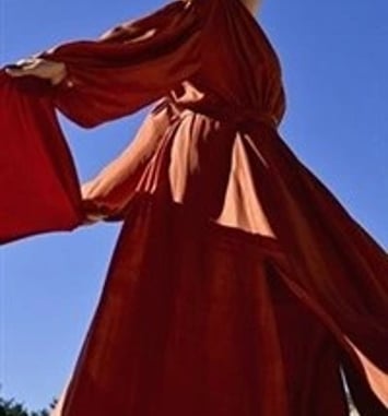 Amel Brahim-Djelloul : Les chemins qui montent