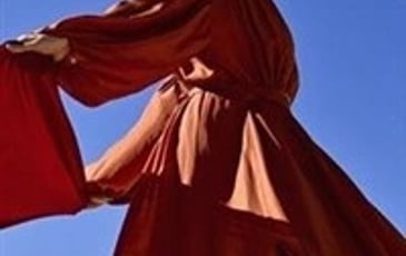 Amel Brahim-Djelloul : Les chemins qui montent