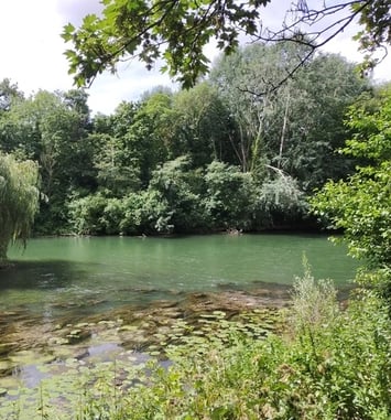 Du Plateau à la Marne, escapade sur les coteaux de Champigny-sur-Marne