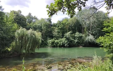 Du Plateau à la Marne, escapade sur les coteaux de Champigny-sur-Marne