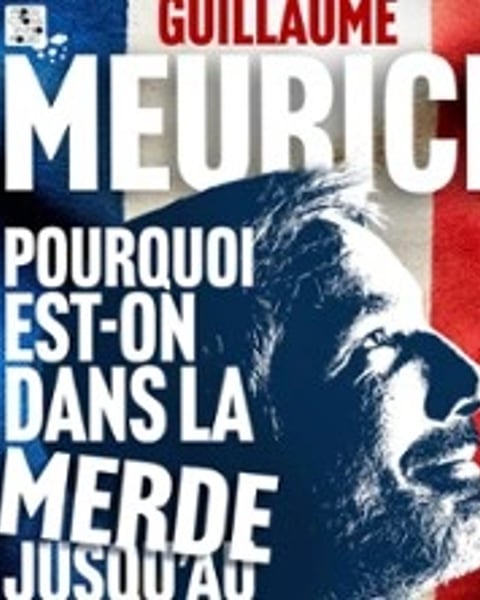 Guillaume Meurice, Pourquoi est-on dans la merde jusqu'au cou ? (Et comment ne pas baisser la tête)