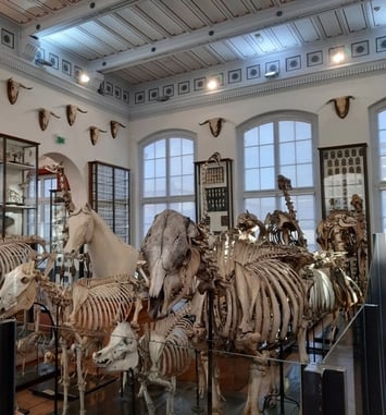Visite du musée Fragonard