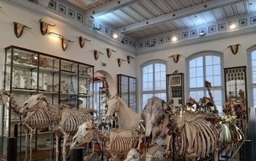 Visite du musée Fragonard