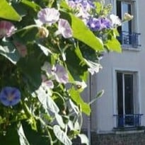 Saint-Maur, ville-jardin au service de la biodiversité