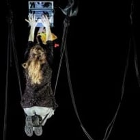Les Révélations Circusnext