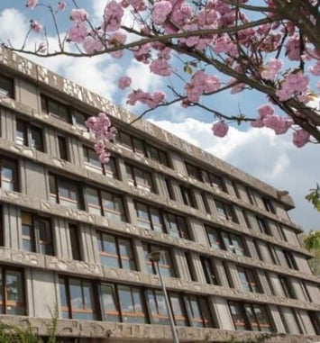 Visite du quartier des Bleuets