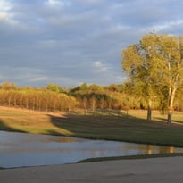 Balade forestière et paysagère