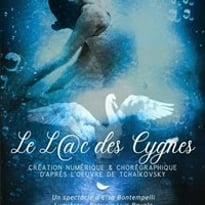 Le Lac des Cygnes
