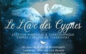 Le Lac des Cygnes