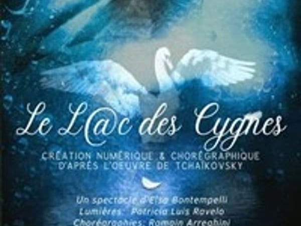Le Lac des Cygnes