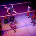 Circus Baobab