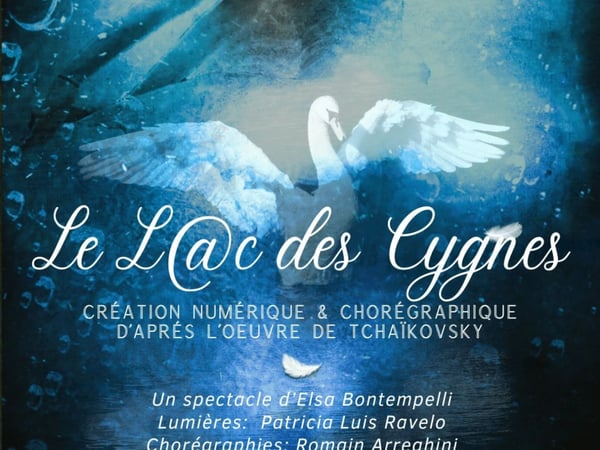 Le Lac des Cygnes