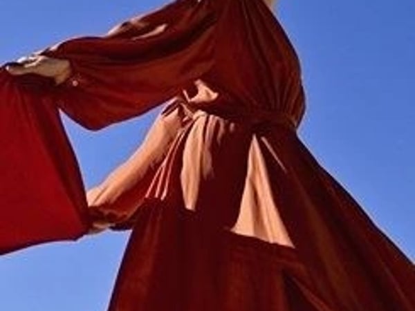 Amel Brahim-Djelloul : Les chemins qui montent